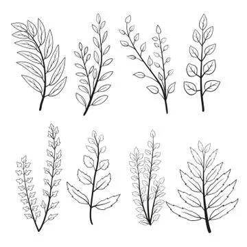 Set of herbs with leaves. Stockillustratie