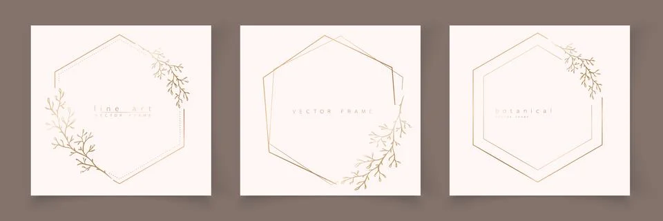 Set of hexagon frame templates in minimal linear style Stock Illustration