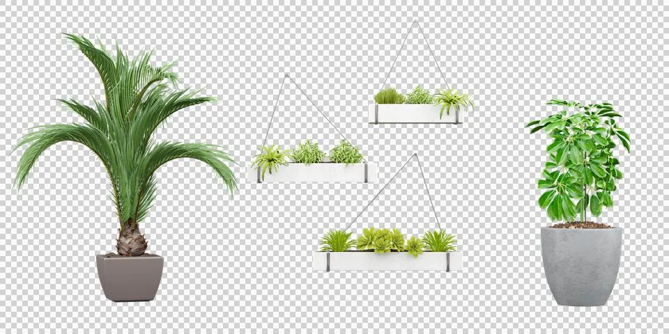 Set of High-Quality Cut Out Plant PNGs for Graphic Design, 3D rendering, for Stock Illustration