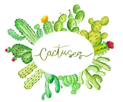 Set of high quality hand painted watercolor cacti elements for your design wi Stock-Illustration
