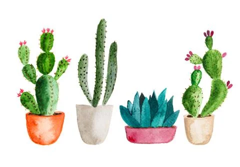 Set of high quality hand painted watercolor elements for your design with Stock Illustration