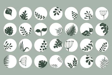 Set of Highlights. Vector Flower Trendy Covers for Stories. Stock Illustration