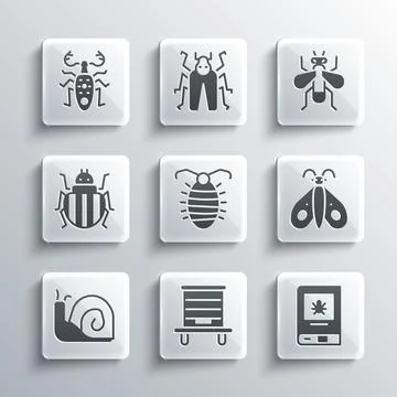 Set Hive for bees, Book about insect, Butterfly, Larva, Snail, Colorado beetle Stock Illustration