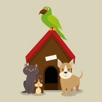 Set of home animals pets Stock Illustration