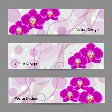 Set of horizontal banners with flowers Stock Illustration