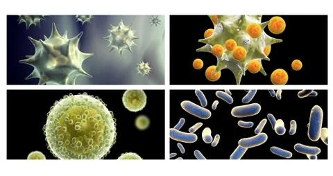 Set of horizontal banners with pathogenic bacterias and viruses Illustrazione stock