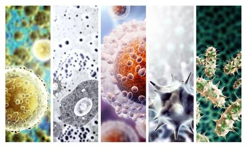 Set of horizontal or vertical banner with pathogenic bacterias and viruses... Stock Photos