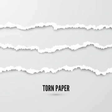 Set of horizontal seamless torn paper stripes with shadow. Paper texture with Stock Illustration