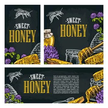 Set horizontal, vertical and square and posters with honey 库存插图