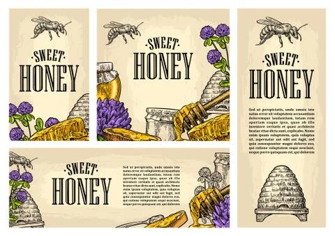 Set horizontal, vertical and square and posters with honey Stockillustratie
