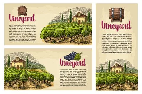 Set horizontal, vertical and square posters or labels for wine. Stock Illustration