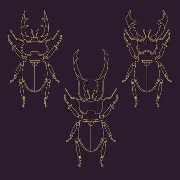 Set of horned beetles in line style. Design elements Stock Illustration