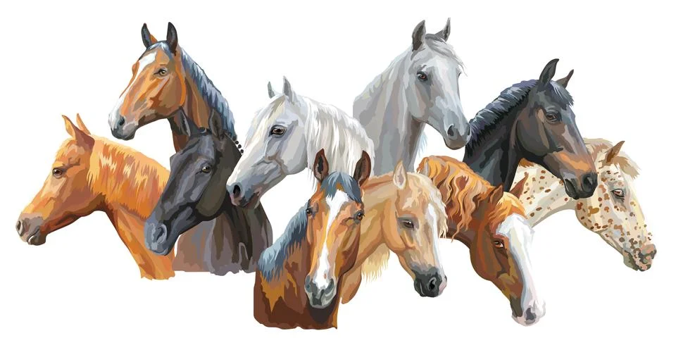 Set of horses  Illustrazione stock