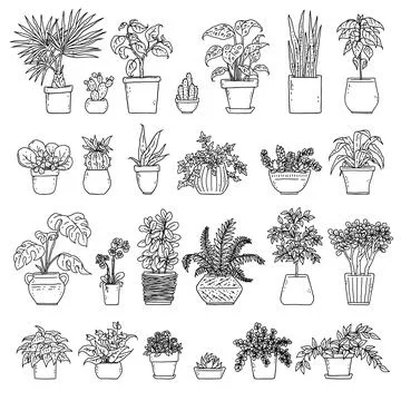 Set house potted plants. Vector indoor black and white houseplant in flower pot Stock Illustration