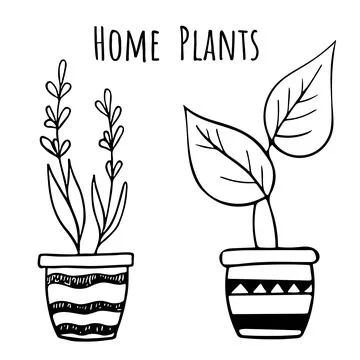 Set of houseplant vector illustration with simple line doodle design Stock Illustration
