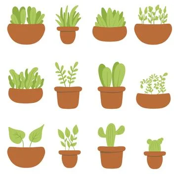 Set of houseplant vector illustration with simple design. Home plants in Stock Illustration