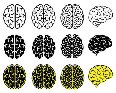 Set of human brains. Vector illustration. Illustration