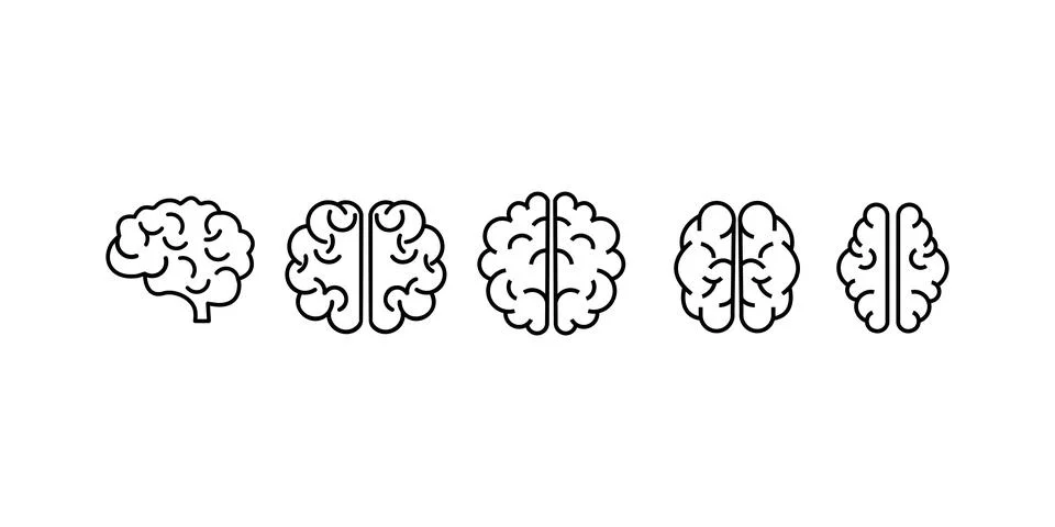 Set of human brains. Vector illustration. Stock Illustration