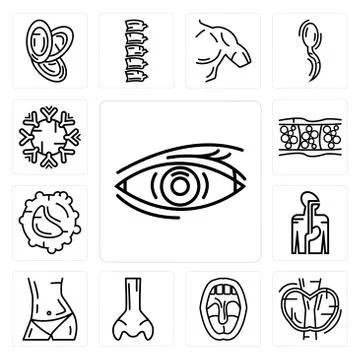 Set of Human Eye, Thyroid, Tonsil, Big Nose, Abdomen, Digestive System, White Illustrazione stock gratuita