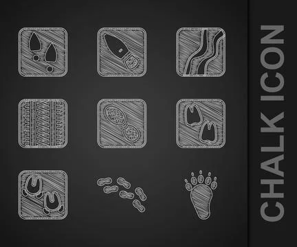 Set Human footprints shoes, Bear paw, Camel, Wild boar, Tire track, Snake and Stockillustratie