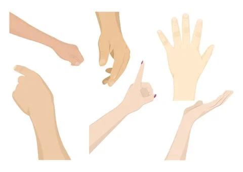 Set of human hands Illustration