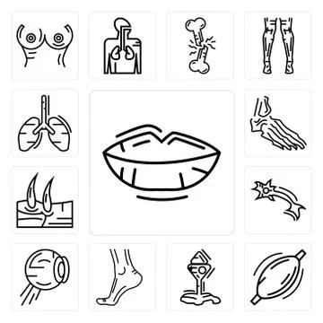 Set of Human Lips, Muscle, Cone Cell, Buttocks, Eyeball Structure, Neuron, Me Free Stock Illustration