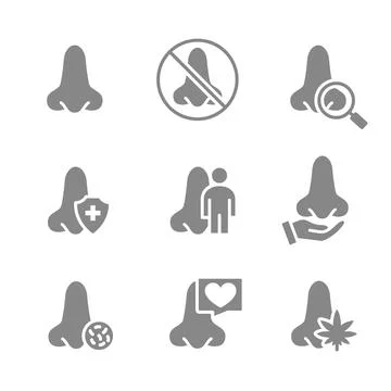 Set of human nose grey icon. Healthy olfactor organ, nose and paranasal sinuses Stock Illustration
