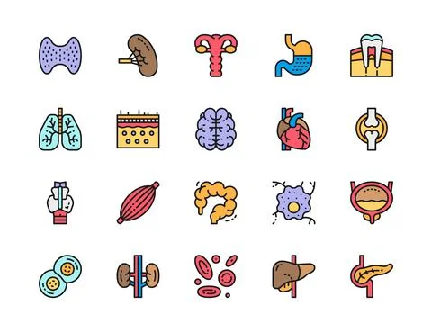 Set of Human Organs Flat Color Icons. Spleen, Stomach, Lungs, Heart and more. Stock Illustration