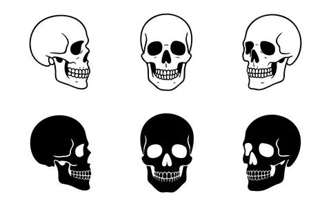 Set of human skull illustrations in outline and silhouette, front and side vi Stock Illustration