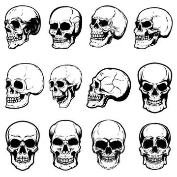 Set of human skull illustrations on white background. Design element for labe Stock Illustration