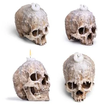 Set of human skulls in different angles. Isolated Stock Photos