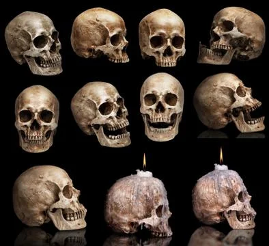 Set of human skulls in different angles. Isolated Stock Photos