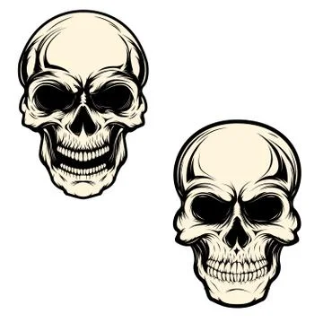 Set of human skulls isolated on white background. Design element Stock Illustration
