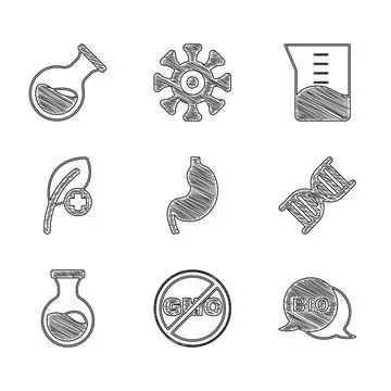 Set Human stomach, No GMO, Bio healthy food, DNA symbol, Test tube and flask Stock Illustration