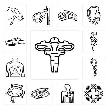 Set of Human Uterus, Immune System, Blood Supply Eye, Lymphonodus, Two Sperma Free Stock Illustration