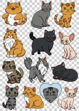 Set of icons, illustrations of cats of different breeds, cartoon character kitty Stock Illustration
