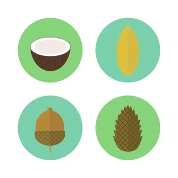 Set of icons nuts. Vector elements for design Stock Illustration