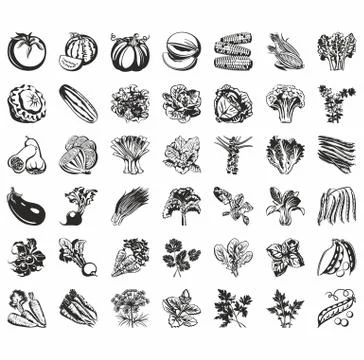 Set of  icons of vegetables. vector black Stock Illustration