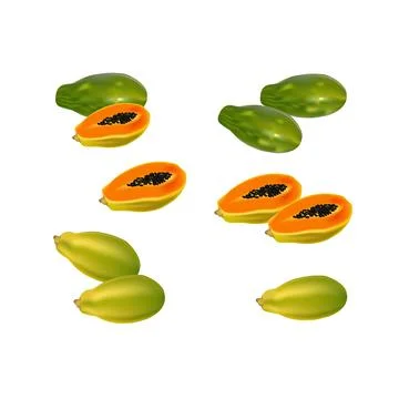 Set of illustration papaya vector design on a white background Stock Illustration