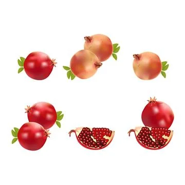 Set of illustration of pomegranate vector design on a white background Stock Illustration