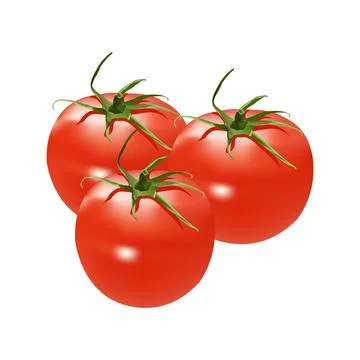 Set of illustration  ripe tomato vector design on a white background Stock-Illustration
