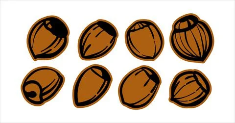 Set of illustrations black and white sketches. Hazelnuts, hazelnuts. Logo or Ilustración de archivo