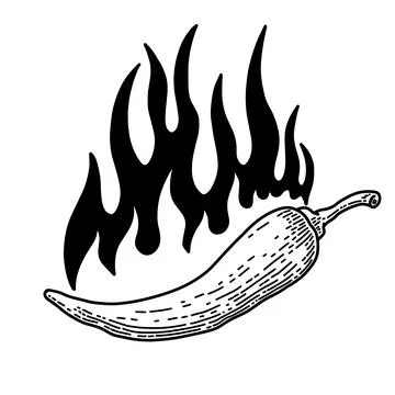 Set of illustrations of chilli peppers with flame of fire in engraving style. Stock Illustration