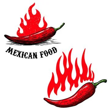 Set of illustrations of chilli peppers with flame of fire in engraving style. Stock Illustration