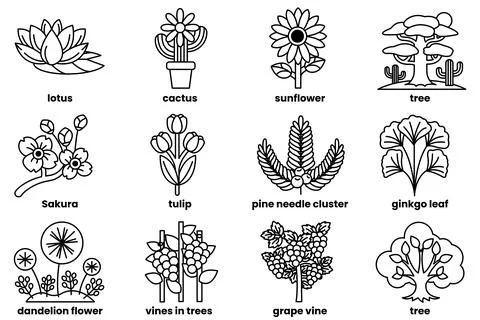 Set of illustrations in the concept of various trees and flowers in line dr.. Stock Illustration