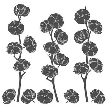 Set of illustrations with cotton branches. Isolated vector objects. Stock Illustration
