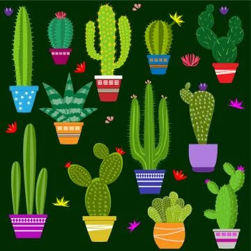 Set of illustrations of cute cactus and succulents in pots and with plants. c Stock Illustration