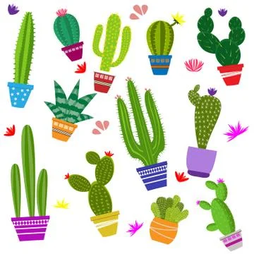 Set of illustrations of cute cactus and succulents in pots and with plants. c Stock Illustration