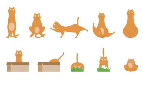 A set of illustrations of cute cats in different poses. Stock Illustration