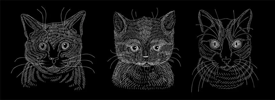 A set of illustrations of the head of a cat or kitten. A sketch drawn in white Stock Illustration